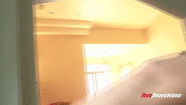 rachel starr will follow big cock anywhere porn gif