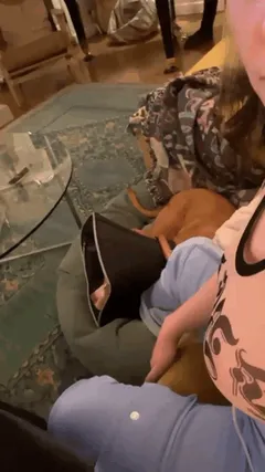 slapping tits (1)
