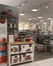 ass public flash