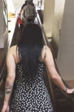 public flashing