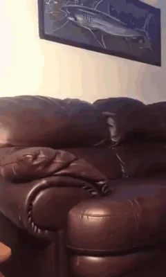 Rough doggystyle