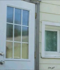 open door policy