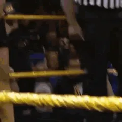io shirai/iyo sky doing the splits