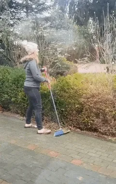 fall clean up flash