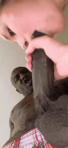 slutbunny sucks