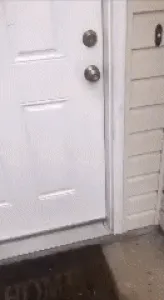 slut wife caught cheating