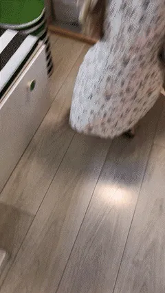 beautiful lady pulls dress up shopping for furniture